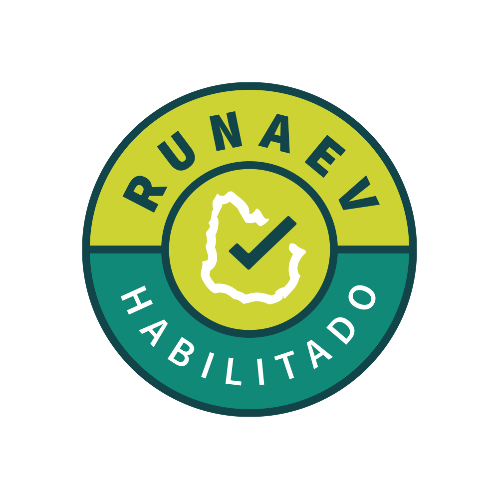 Conociendo el sistema RUNAEV CSR_2025